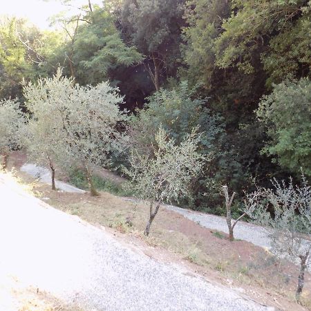 Vila Fattoria Ceragioli Camaiore Exteriér fotografie