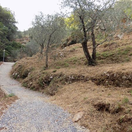 Vila Fattoria Ceragioli Camaiore Exteriér fotografie