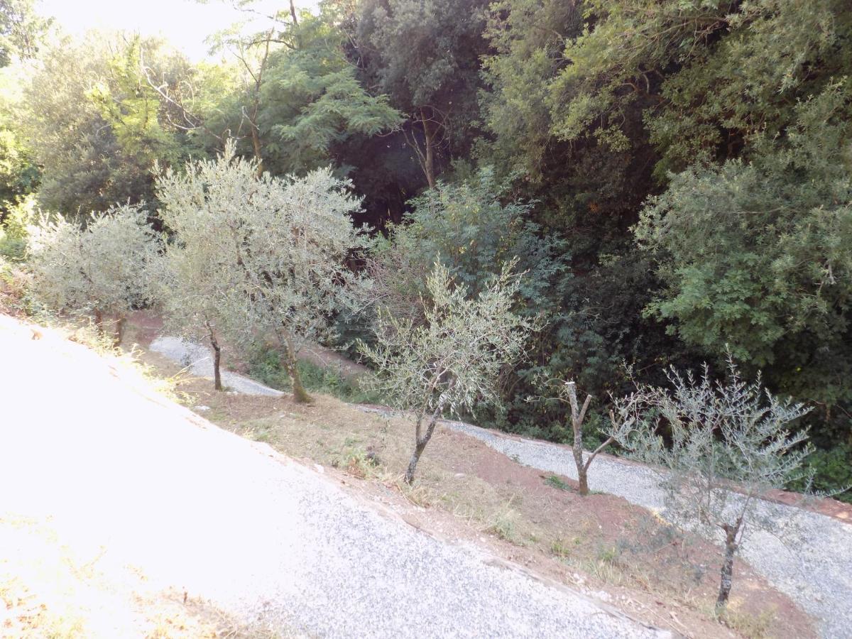 Vila Fattoria Ceragioli Camaiore Exteriér fotografie