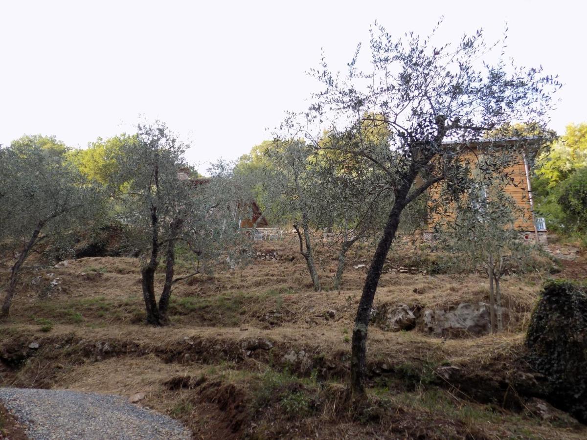 Vila Fattoria Ceragioli Camaiore Exteriér fotografie