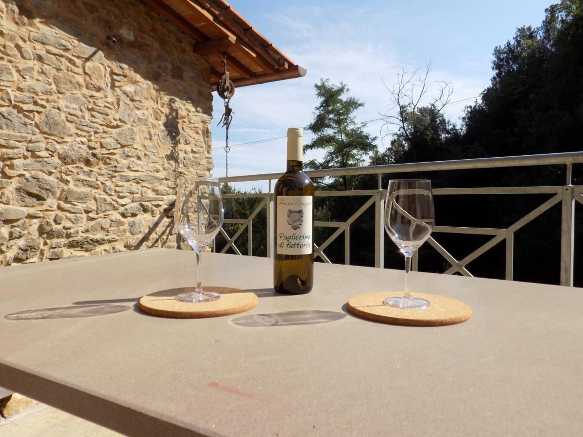 Vila Fattoria Ceragioli Camaiore Exteriér fotografie