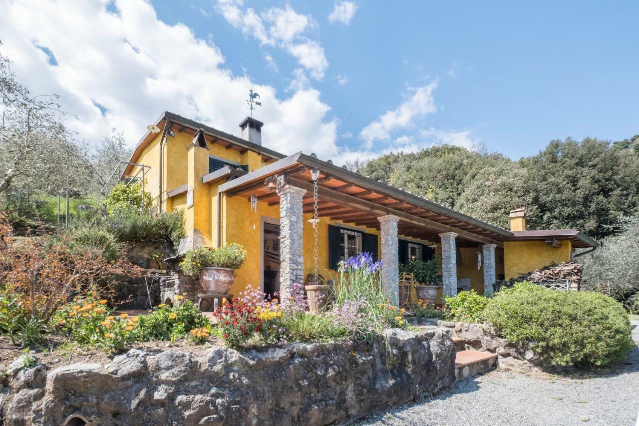 Vila Fattoria Ceragioli Camaiore Exteriér fotografie