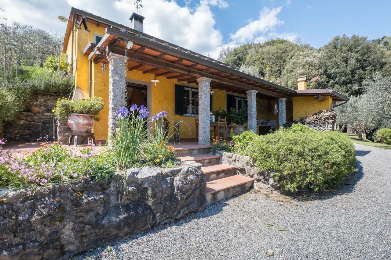 Vila Fattoria Ceragioli Camaiore Exteriér fotografie